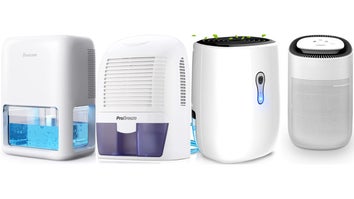 The best small dehumidifiers for 2024